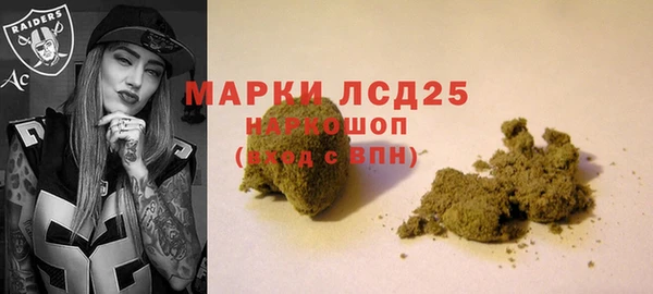 соль ск Богданович