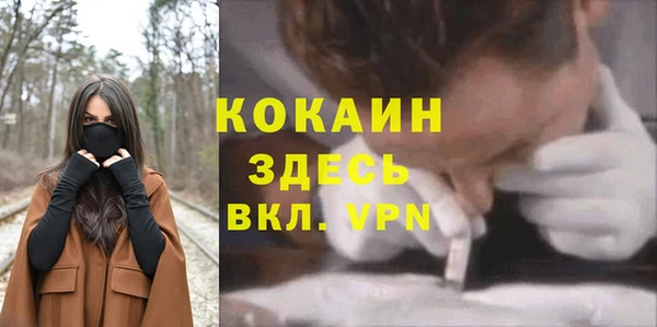 соль ск Богданович