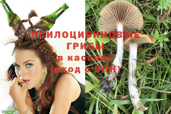 mdma Белокуриха