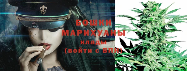ГАЛЛЮЦИНОГЕННЫЕ ГРИБЫ Белоозёрский