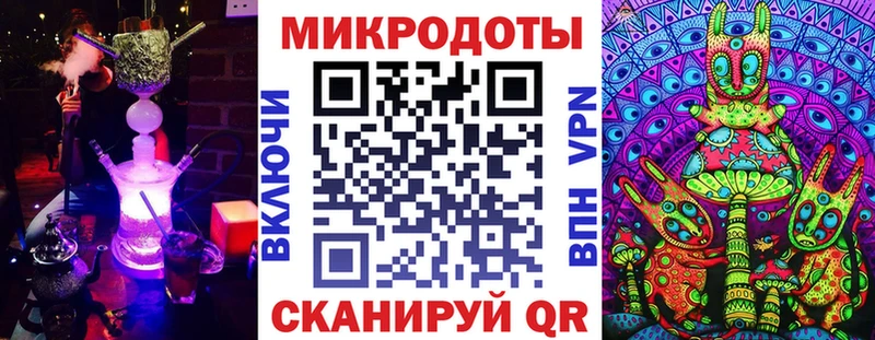 площадка клад  где найти   Саранск  Псилоцибиновые грибы Psilocybe 